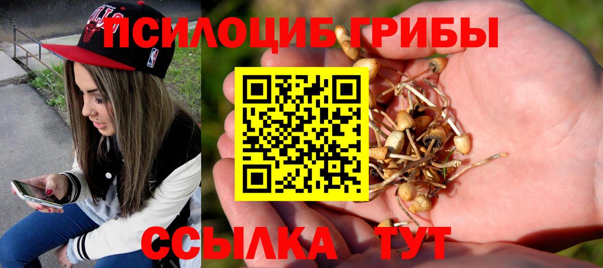 Унеча  Псилоцибиновые грибы мухоморы  Псилоцибиновые грибы Psilocybine cubensis  Вход с VPN 