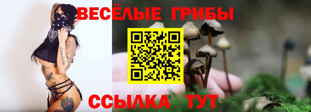 Псилоцибиновые грибы GOLDEN TEACHER Унеча